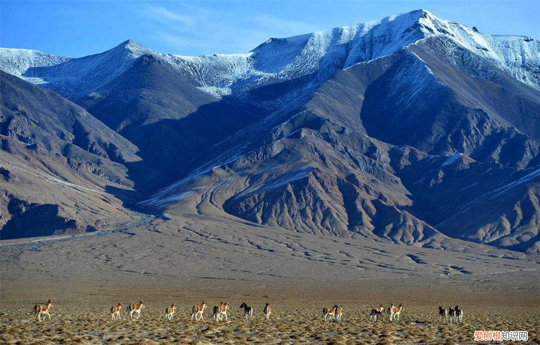 无人区真的那么乱吗 中国最可怕的无人区