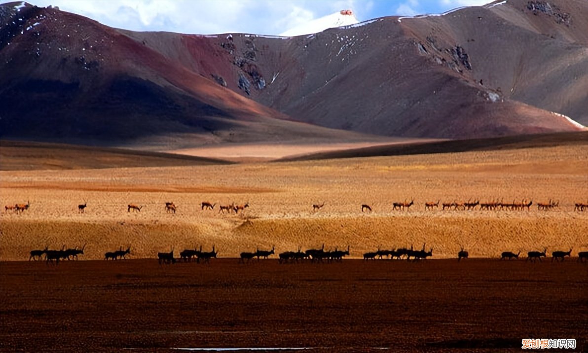 无人区真的那么乱吗 中国最可怕的无人区