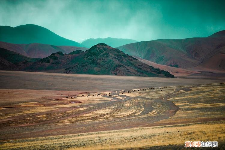 无人区真的那么乱吗 中国最可怕的无人区