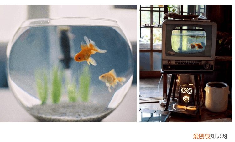 家里解暑的方法