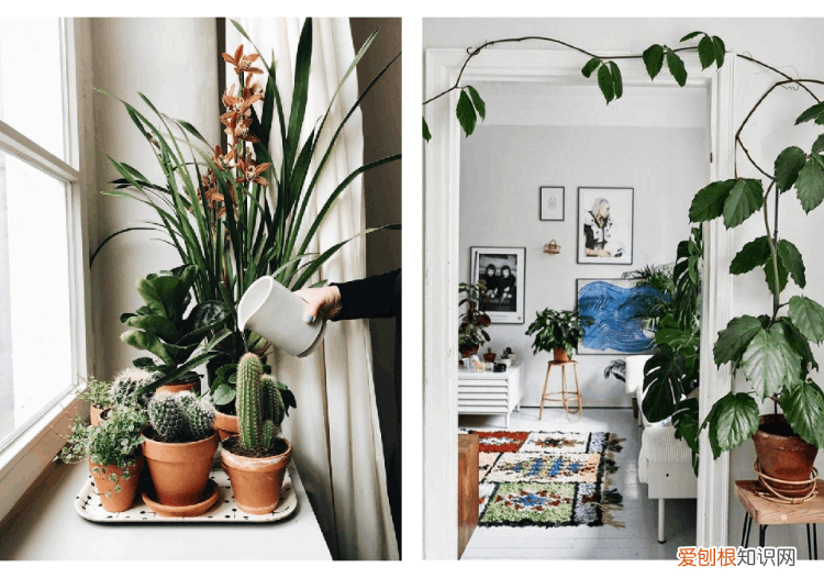 家里解暑的方法