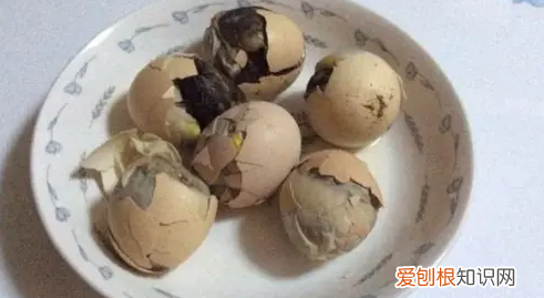 毛鸡蛋的毛可以吃，带毛的鸡蛋能吃吗