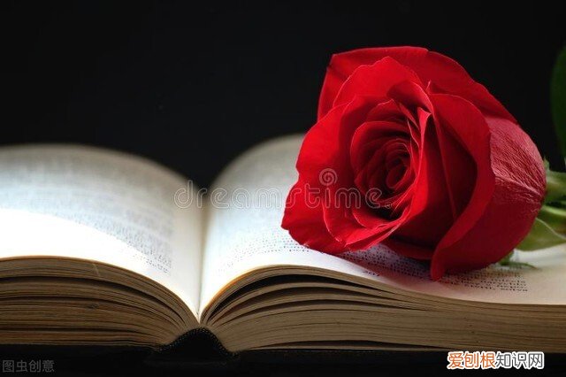 教养名言警句 推荐教养名言警句