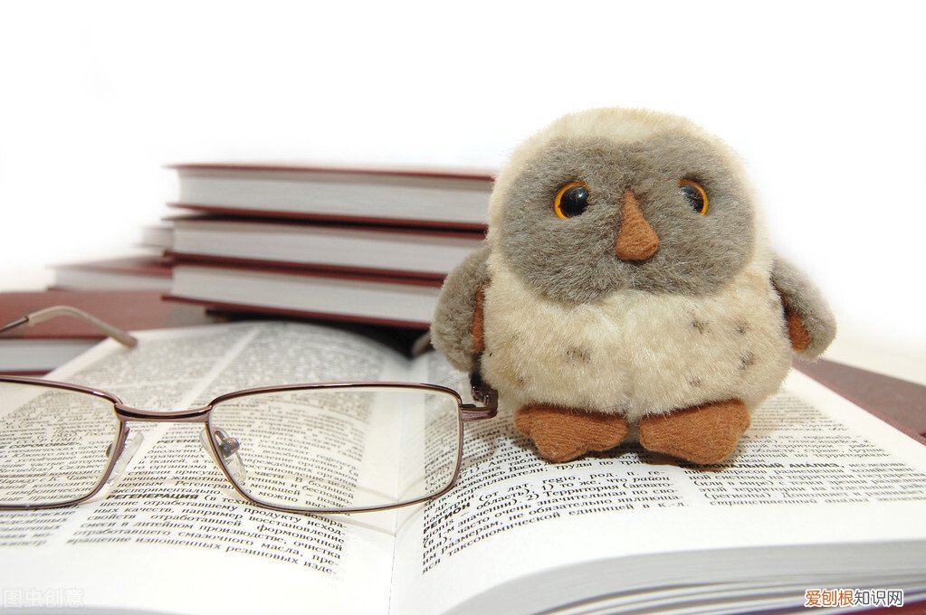 教养名言警句 推荐教养名言警句