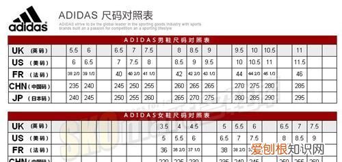 耐克和阿迪尺码一样 耐克和阿迪尺码相同