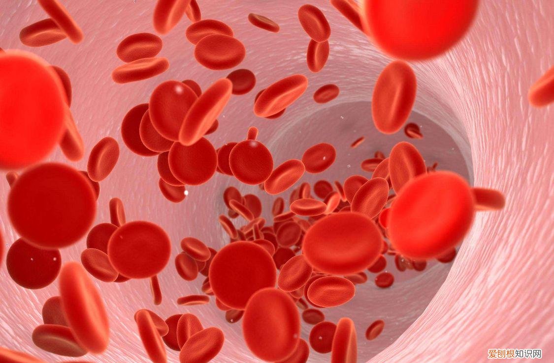 早上空腹喝水,比不吃早餐的危害大?听听医生怎么说