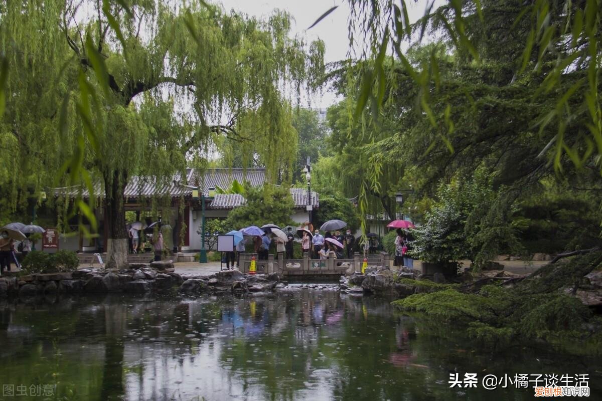 俗语“院中不栽三树,客厅莫挂三物”分别指的是哪些?