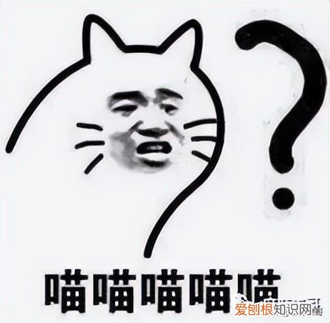 女团成员偷拍室友洗澡！！并发给男友看！心里变态?