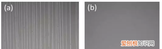 光伏背板内层材料有哪些
