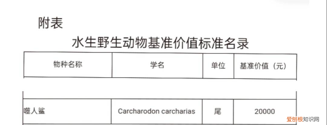 网红“提子”被曝食用幼年大白鲨!自称是人工养殖,警方已介入