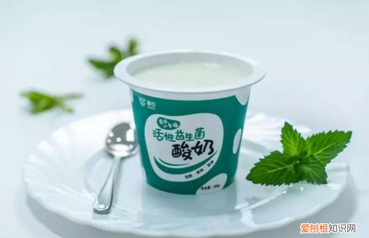 益生菌除了与肠道有关系,还与身体哪些部位有关系?