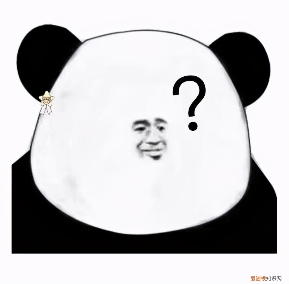 益生菌除了与肠道有关系,还与身体哪些部位有关系?