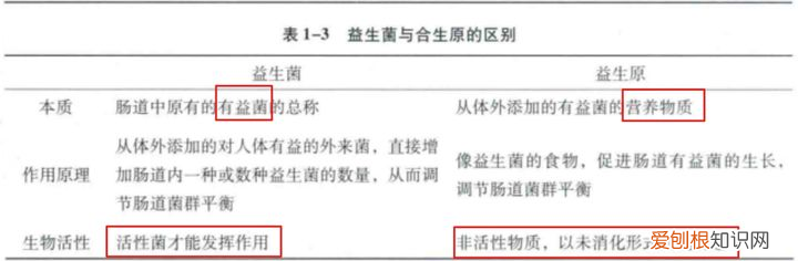 益生菌除了与肠道有关系,还与身体哪些部位有关系?