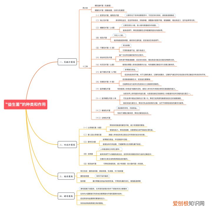 益生菌除了与肠道有关系,还与身体哪些部位有关系?