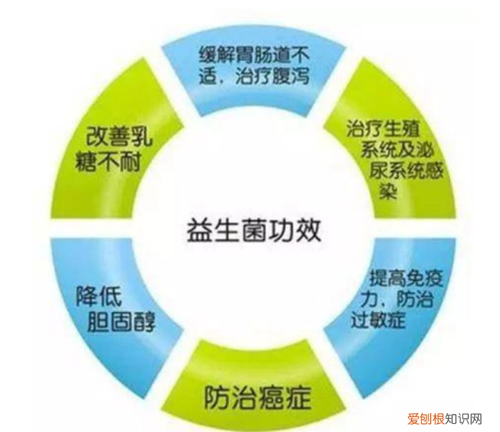 益生菌除了与肠道有关系，还与身体哪些部位有关系？