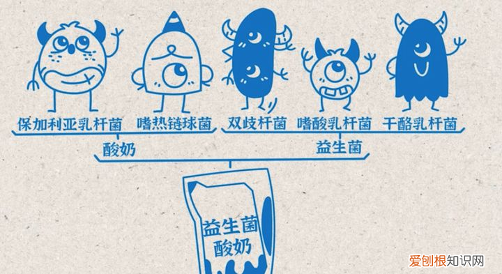 益生菌除了与肠道有关系，还与身体哪些部位有关系？