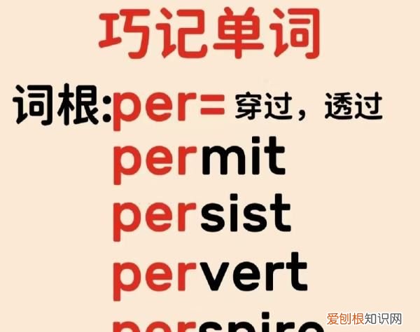 per的前缀是什么意思，per词根表示什么意思