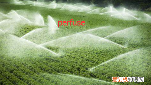 per的前缀是什么意思，per词根表示什么意思