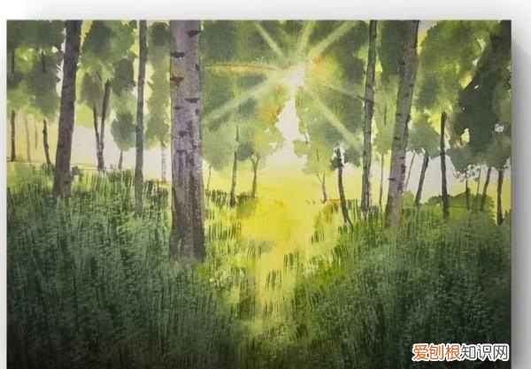 per的前缀是什么意思，per词根表示什么意思