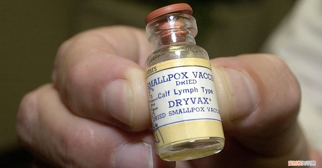 让全球记忆深刻的六大传染病，天花环球航行，霍乱首次在印度现身