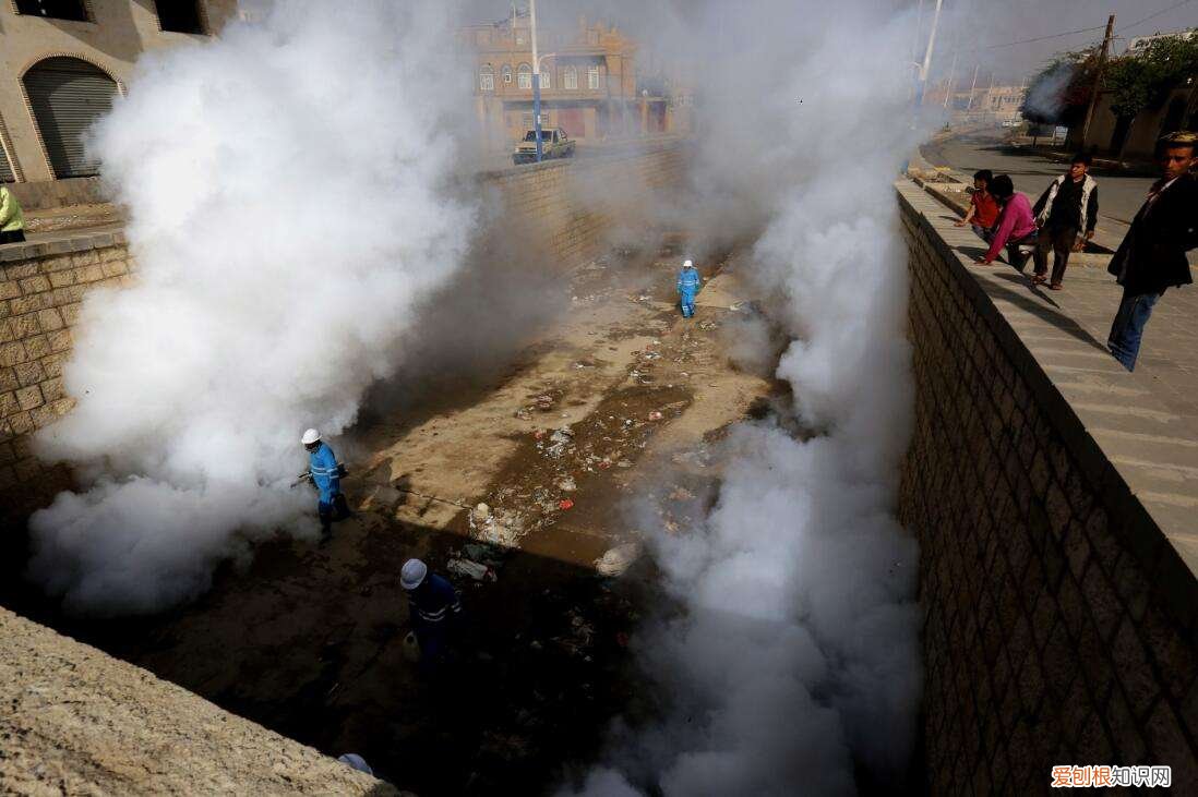 让全球记忆深刻的六大传染病，天花环球航行，霍乱首次在印度现身