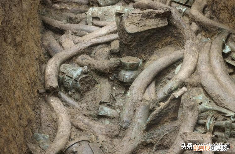 七个至今未解的千古谜团 三星堆不敢公开的秘密