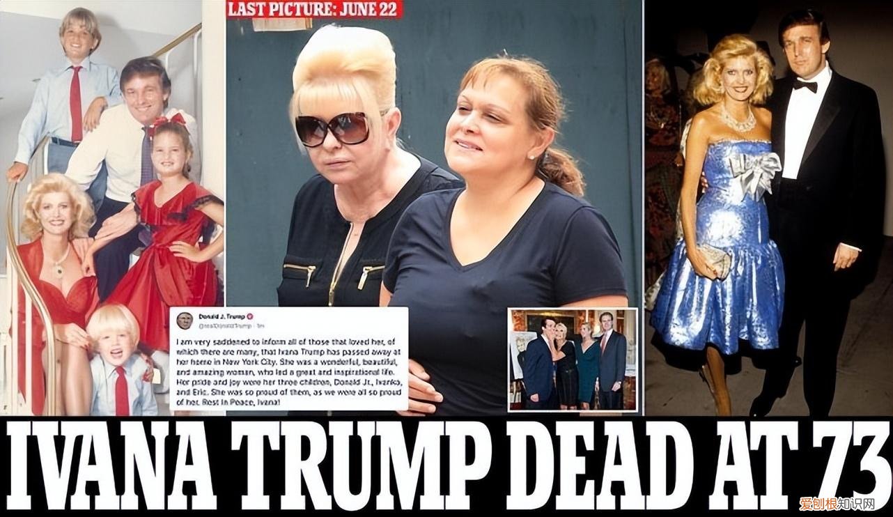 特朗普73岁前妻离世,前总统发长文缅怀,风华绝代的模特晚年孤寂