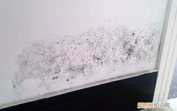 壁纸受潮发霉怎么处理 壁纸受潮发霉如何处理