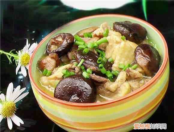 教你如何自制正宗炖鸡 炖鸡怎么炖好吃