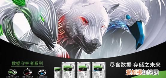 2018年希捷酷鹰监控盘 希捷酷鹰质量