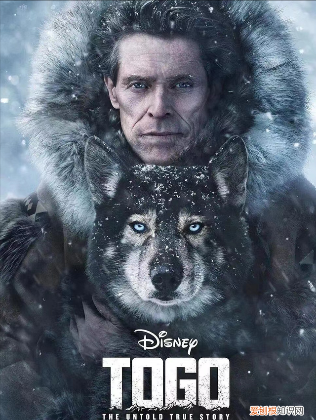 十部温情感人催人泪下的狗狗电影