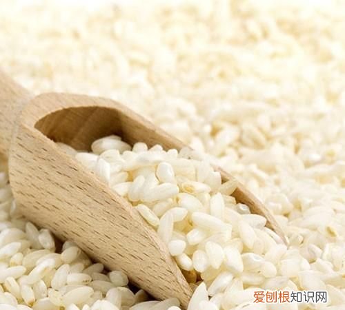 朱马店糯米,驻马店团购