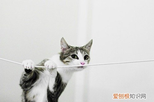 世界杯亚洲有8.5个名额，国足能行吗？我们设计了一条路线