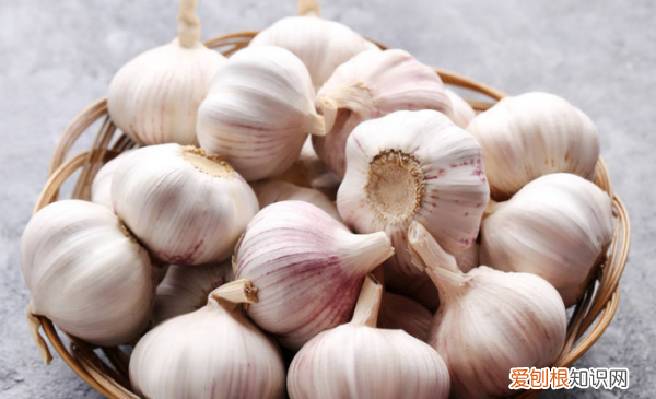 吃蒜有什么好处和坏处 吃蒜好处和坏处分别是什么