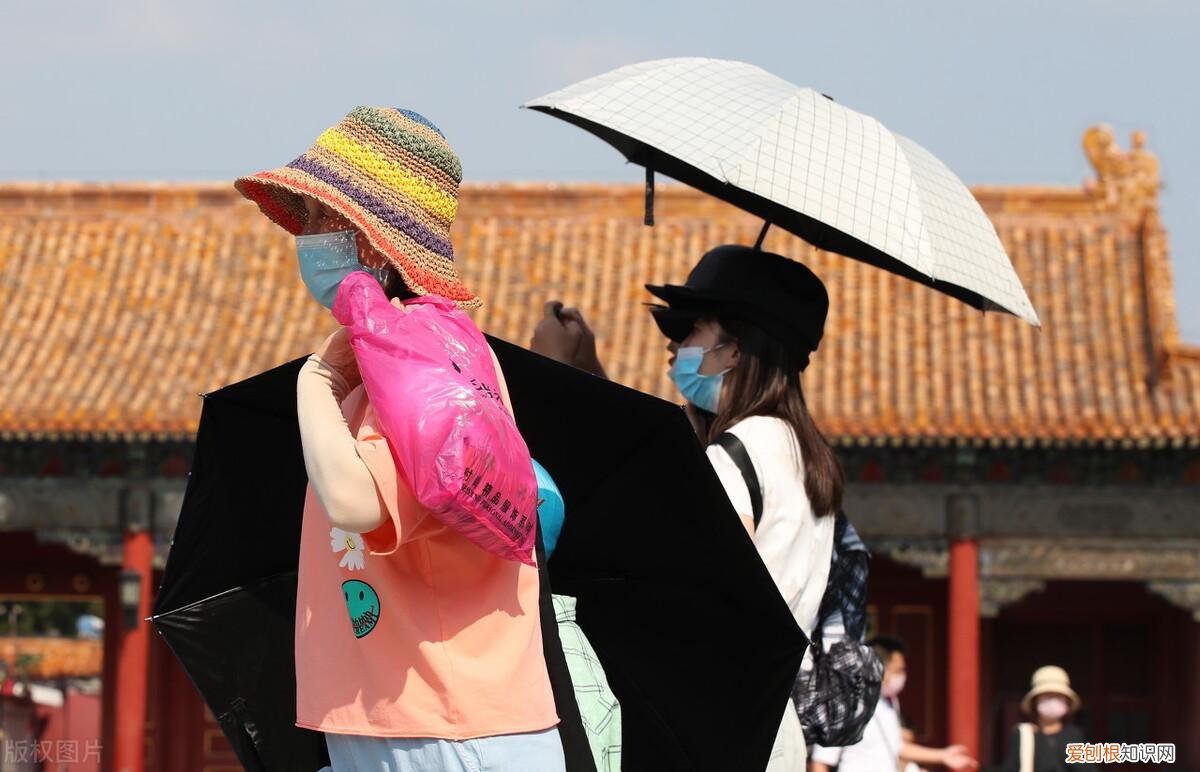 三伏天,无论多忙,都别忘“补3样忌3样”,应季而食,安稳过三伏