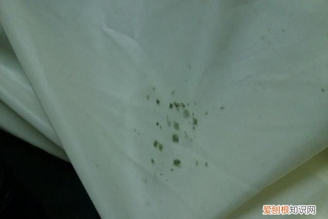 床单发霉了还能用,棉质文胸发霉了还能穿