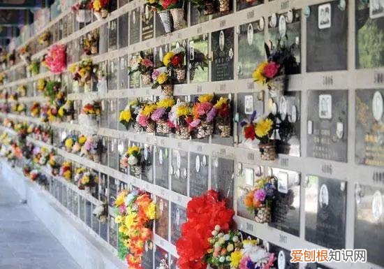 10年山东殡仪馆火化尸体,登记信息与2年前一致,调查发现不简单