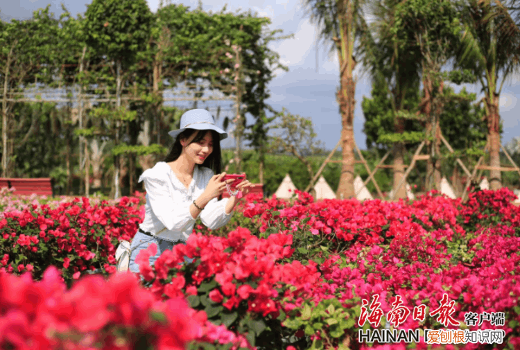 春节海南游推荐路线 海口发布春节假期游玩攻略