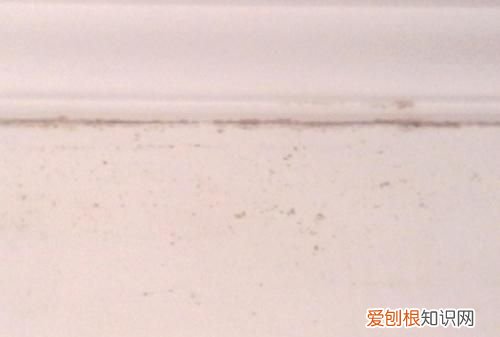 墙壁回潮发霉怎么处理 墙壁回潮发霉如何处理