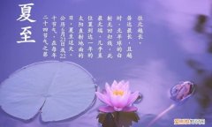 夏至是入伏的意思 夏至的意思