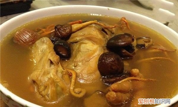 花胶鸡汤的做法，广东花胶煲鸡汤的做法
