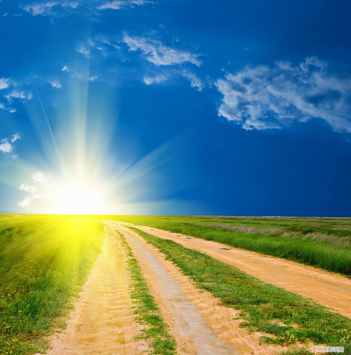 情侣个人说明表达幸福的句子