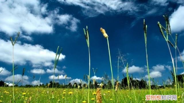 情侣个人说明表达幸福的句子