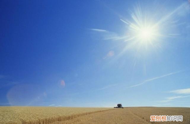 情侣个人说明表达幸福的句子