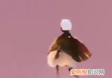 光遇晨岛如何过关，光遇无翼怎么过晨岛不拿小金人