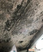墙壁渗水发霉怎么办 墙壁渗水发霉如何处理