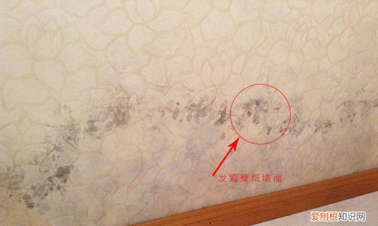 房间潮湿发霉怎么处理方法,房间发霉怎么处理 房间发霉如何处理