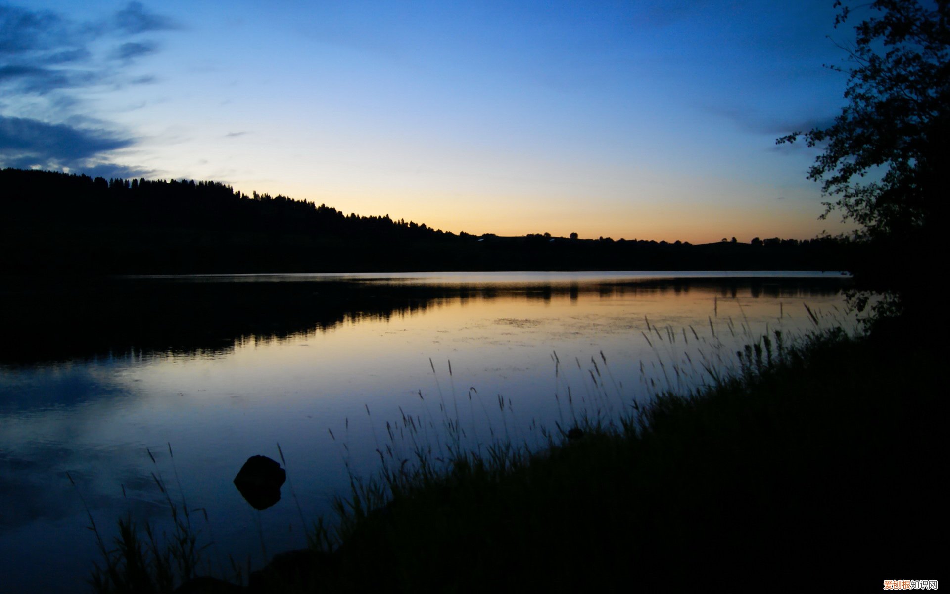 去哪儿网机票人工服务24小时 去哪儿买机票技巧