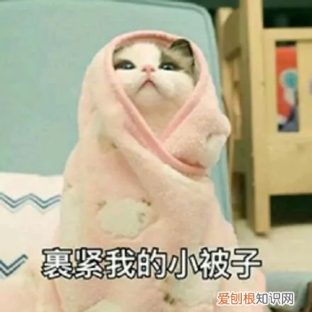 全球温室效应越来越严重,为什么今年冬天还这么冷 今年为什么这么冷