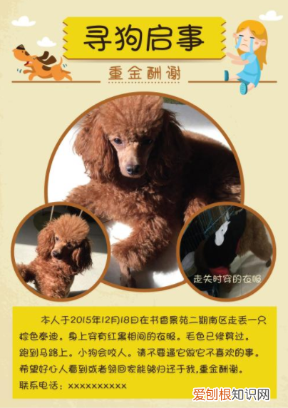 我有只萨摩耶狗狗丢失了，不知道怎么样去寻找 萨摩耶丢了千万别去找